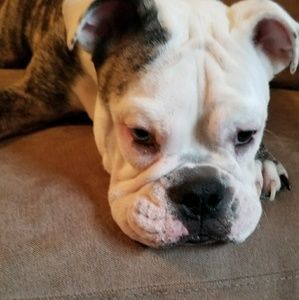 Meet your Posher, Debbie